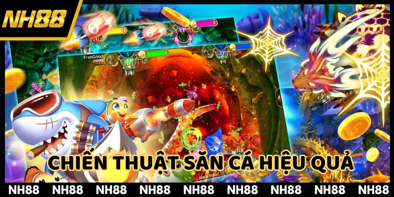 Bí quyết đầu tư hợp lý giúp nâng cao kỹ thuật săn mồi